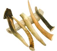 RF-Deer bois de cerf naturel, décoration unique, jouet parfait pour les chiens, jouet à mâcher pour les chiens, laaux enchères comprend 1 kg (20-30 cm/4-8 pièces).