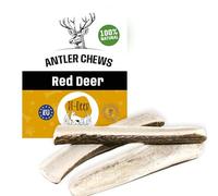 RF - Deer Snack pour Chiens Bois de Cerf Rouge Kausnack XL Soft - 0,5 kg - Chaque pièce Environ 17 cm - Bois de Cerf pour Chiens 100% Naturel Jouet pour Chiens Soin des Dents et Croissance