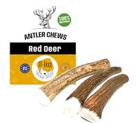 RF - Deer Snack pour Chiens Bois de Cerf Rouge Kausnack XXL Hard - 0,5 kg - Chaque pièce Environ 19 cm - Bois de Cerf pour Chiens 100% Naturel Jouet pour Chiens Soin des Dents et Croissance