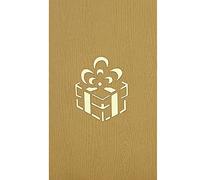 RF Distribution Carte de vœux Origami Surprise, Carte postale de vœux Cochon dans le paquet cadeau 3D, pour fêtes, anniversaires,