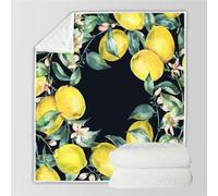 RFFLUX 3D Citron Couverture 150x200 cm 1 Personne Douce et Chaude Plaid Couverture Abstrait Aquarelle Blanket en Microfibre Flanelle Canapé La Chambre Jete de lit（Style 24-5）