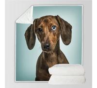 RFFLUX 3D Teckel Couverture 150x200 cm 1 Personne Douce et Chaude Plaid Couverture Animaux Chiens Blanket en Microfibre Flanelle Canapé La Chambre Jete de lit（Style 7-11）
