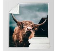 RFFLUX 3D Vache De Highland Couverture 150x200 cm 1 Personne Douce et Chaude Plaid Couverture Animaux Vaches Blanket en Microfibre Flanelle Canapé La Chambre Jete de lit（Style 6-3）