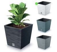 rg-vertrieb Cache-Pot carré Motif Aiguilles Furu Low - Pot de Plantation en Plastique avec bac d'insertion, jardinière Basse (240 Blanc)