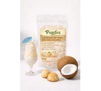 R'Garden Fruits Séchés 50 g - Snack Naturel Sans Conservateurs - Fait par Nos Soins dans Nos Ateliers - Fruits Déshydratés Gourmands - Saveur au Choix (Noix de coco)