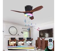 RGB Dimmable Plafonnier Ventilateur avec Telecommande LED Silencieux Ventilateurs de Plafond avec Lampe Douille E27 Fan Plafonnier Musique Lampe de Ventilateur pour Chambre à Coucher Salon (Noir)