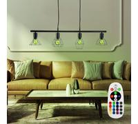 RGB LED Cage Suspendu Couvrir Lampe Intensité Variable Ess Chambre Télécommande
