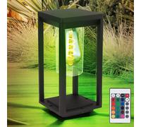 RGB LED Déco Support de Lampe Télécommande Extérieur Jardin Noir Dimmable