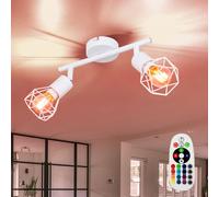 RGB LED Rétro Couvrir Lampe Télécommande Cage Spot Baguette Changeur de Couleur