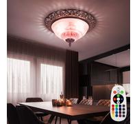 RGB LED Style Campagnard Couvrir Lampe Dimmable Télécommande Verre Fleurs Lampe