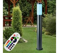 Lampe sur pied en acier inoxydable TÉLÉCOMMANDE Lampe de jardin d'extérieur en acier inoxydable DIMMABLE dans un ensemble comprenant des ampoules LED RGB