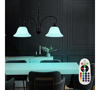 RGB LED Verre Suspendu Couvrir Lampe Dimmable Albâtre Optique Lampe Télécommande
