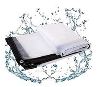 RGRE Bâche Transparente avec Oeillets 4x9m, Bâche Transparente en Plastique Imperméable, Bâches Étanche Couverture De Bateau, Bâche D'isolation Chaude pour Plantes