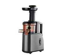 R.G.V. Centrifugeuse lente Green Juice 150 W 2 vitesses Noir/Gris