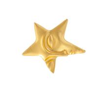 RGYBAO Broche en forme d'étoile à cinq branches plaquée or pour hommes et femmes 3,8 x 4 cm Zinc Ce n'est pas une pierre précieuse 3,8 x 4 cm, 3.8x4.0cm, Zinc, Pas de gemme