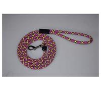 RH-HPC Corde de remorquage Laisse de Double Chien Pourpre 6 Pieds, Plomb de Corde, Corde d'animal de Compagnie, Corde de Nylon tressée, Laisse de Formation de Corde pour VTT/UTV, treuil et Bateau