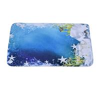 Rhawuy Gentle - Grip Bathroom Floor Mat | Super Absorbent Flannel Carpet for Kitchen/Living Room/Bedroom | Static Electricity Control & Particle Removal | Home Security Carpet (40 * 60cm)