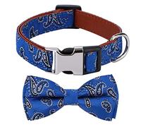 Rhea Rose Collier pour chien Motif cachemire Bleu Taille M
