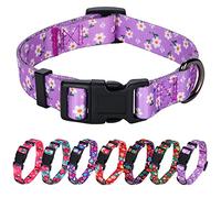 Rhea Rose Daisy Girl Collier pour chien Motif Floarl Violet