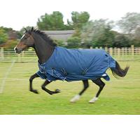 Rhinegold Arizona Tapis d'extérieur - Polyfill Moyen/léger 100 g/m²