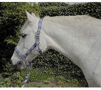 Rhinegold Carnival Headcollar & Rope Licol et Corde pour Carnaval Mixte, Bleu/Carreaux, Extra-Full