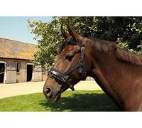 Rhinegold Cavesse en Nylon, Bleu Marine