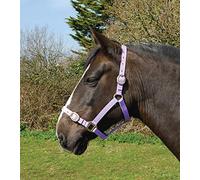 Rhinegold Collier en Nylon, 0, Lilas, Poney