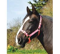 Rhinegold Collier en Nylon, 0, Rose, COB