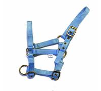 Rhinegold Collier en Nylon pour Poulain, 0, Bleu bébé, Taille Unique