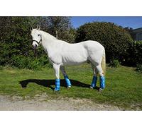 Rhinegold Elite Lot de 4 Bottes de Voyage Demi-Longues., 0, Turquoise, Poney