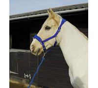 Rhinegold Ensemble de Licol et Corde Confortables pour Cheval - Taille COB, Couleur Bleu Roi - Coiffe rembourrée Douce et réglable - Disponible en Poney, COB, Tailles complètes - Rouge, Bleu Marine
