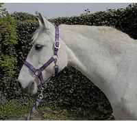 Rhinegold Ensemble Licol et Longe Assortis pour Carnaval, Mixte, Violet à Carreaux, Poney