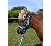 Rhinegold Ensemble Licol Licorne et Corde - Shetland - Turq, Turquoise
