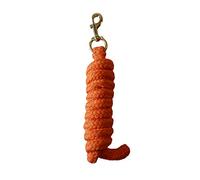 Rhinegold Laisse, 0, Mandarine, Taille Unique