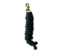 Rhinegold Laisse Unie Longe en Coton 32 FR, Vert, Taille Unique