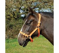 Rhinegold Licol en Nylon - COB - Mandarine