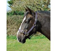 Rhinegold Licol en Nylon - COB - Prune