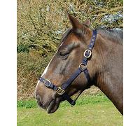 Rhinegold Licol en Nylon - Poney - Bleu Marine