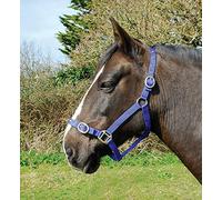 Rhinegold Licol en Nylon Shetland Bleu Roi