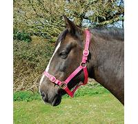 Rhinegold Licol en Nylon - Shetland - Framboise