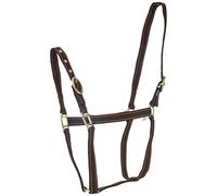 Rhinegold Licol en Nylon - X Full - Noir/Rouge