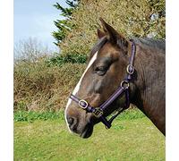 Rhinegold Licol en Nylon - X Full - Noir/Violet