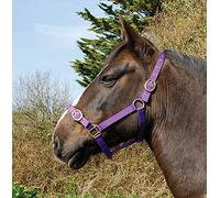 Rhinegold Licol en Nylon - X Full - Violet