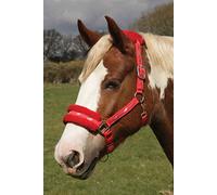 Rhinegold Licol en Polaire avec Logo - Shetland - Rouge