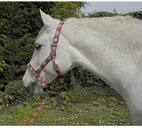 Rhinegold Licol et Corde de Carnaval Unisexe, Carreaux Rouges, Complet