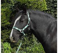 Rhinegold Licol et Corde de Carnaval Unisexe, Vert à Carreaux, Full