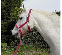 Rhinegold Licol et Corde de Carnaval Unisexe, Framboise, COB