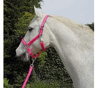 Rhinegold Licol et Corde de Carnaval Unisexe, Rose, Poney