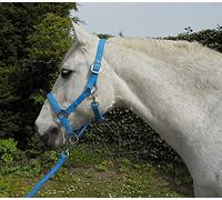 Rhinegold Licol et Corde Unisexe pour Carnaval, Turquoise, COB