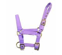 Rhinegold Licol pour Poulain en Nylon Lilas